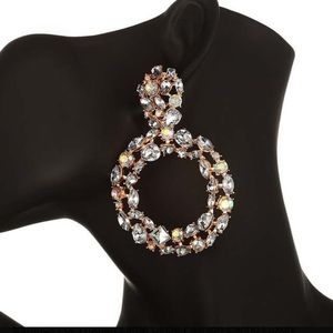 Dimond circle earrings